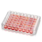 Merck Nunc Non-Treated Multidish