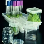 Merck Magenta vessel