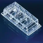 Merck Nunc Lab-Tek II chambered coverglass