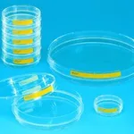 Merck TPP tissue culture dishes