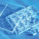 Merck Corning Transwell polycarbonate membrane cell culture inserts