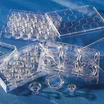 Merck Corning Transwell polyester membrane cell culture inserts