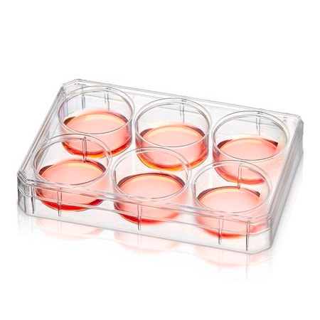 Merck Nunc Non-Treated Multidish