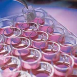 Merck Millicell Cell Culture Insert, 12 mm, polycarbonate, 12 µm