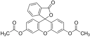 Merck Fluorescein diacetate