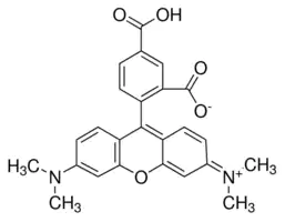 Merck 5-Carboxytetramethylrhodamine