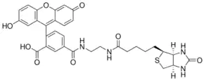 Merck Biotin-4-Fluorescein