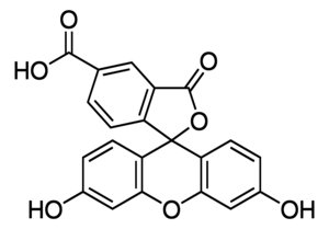 Merck 5-Carboxyfluorescein