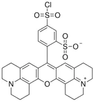 Merck Sulforhodamine 101 acid chloride