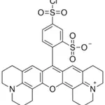 Merck Sulforhodamine 101 acid chloride