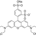 Merck Sulforhodamine B sodium salt