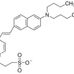 Merck 4-(2-(6-(Dibutylamino)-2-naphthalenyl)ethenyl)-1-(3-sulfopropyl)pyridinium hydroxide inner salt