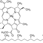 Merck Bacteriochlorophyll from Rhodopseudomonas sphaeroides