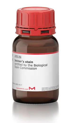 Merck Jenner′s stain