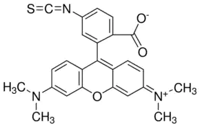 Merck Tetramethylrhodamine isothiocyanate Isomer R