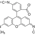Merck Tetramethylrhodamine isothiocyanate Isomer R