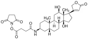 Merck 3-Amino-3-deoxydigoxigenin hemisuccinamide, succinimidyl ester