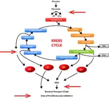 Merck ProClin 950