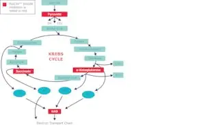 Merck ProClin Reference Standard