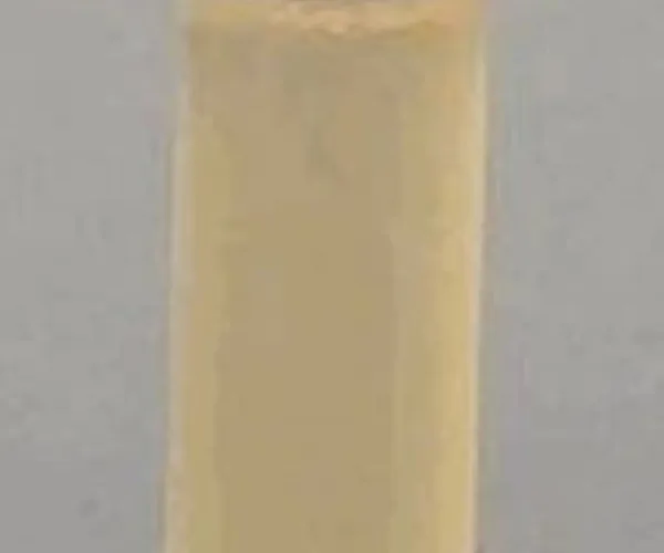 Merck Potato Dextrose Broth