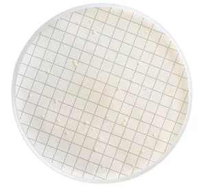 Merck Milliflex Cassette prefilled with R2A Agar