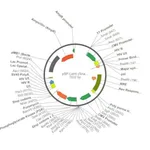 Merck PSF-LENTI - LENTIVIRUS PUROMYCIN CMV PLASMID