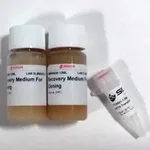 Merck BL21(DE3) Chemically Competent Cells