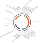 Merck PSF-OXB20-FLUC - BACTERIAL LUCIFERASE PLASMID