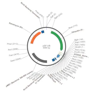 Merck PSF-UB - UBIQUITIN PROMOTER EXPRESSION PLASMID