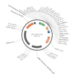 Merck PSF-TEFI-HIS3 - HISTIDINE YEAST SELECTION PLASMID