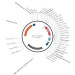 Merck PSF-T7-EMCV - T7 IRES EXPRESSION PLASMID