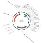 Merck PSF-U6 - SIRNA/RNAI EXPRESSION PLASMID
