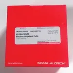Merck XLDNA SIG10 Electrocompetent cells