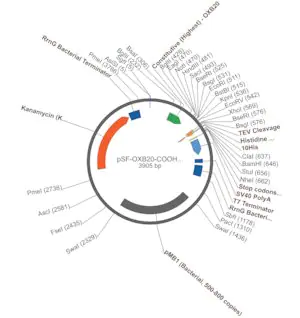Merck PSF-OXB20-COOH-TEV-10HIS - C-TERMINAL 10HIS TAG BACTERIAL PLASMID