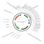 Merck PSF-CMV-RSV-ZEO ASCI - RSV PROMOTER ZEOCIN PLASMID