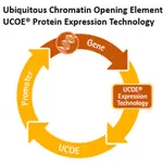 Merck UCOE Single Expression Puromycin Vector Set