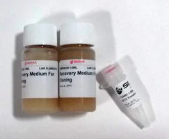 Merck CONTROLLER BL21(DE3) Chemically Competent Cells