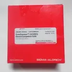 Merck OverExpress C41(DE3) Electrocompetent Cells