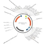 Merck PSF-MINPROM-RLUC - MINIMAL PROMOTER LUCIFERASE PLASMID
