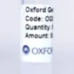 Merck PSF-TEF1-COOH-GST - C-TERMINAL GST TAG YEAST PLASMID