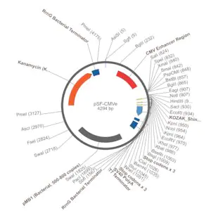 Merck PSF-CMVE - CMV ENHANCER EXPRESSION PLASMID
