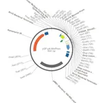 Merck PSF-PA-MINPROM - MINIMAL PROMOTER PLASMID