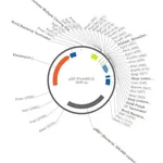 Merck PSF-PROMMCS - NO-PROMOTER MCS PLASMID