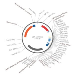 Merck PSF-PA-CMVE - CMV ENHANCER PLASMID