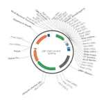 Merck PSF-CMV-UB-KRYFP - MAMMALIAN YFP REPORTER VECTOR