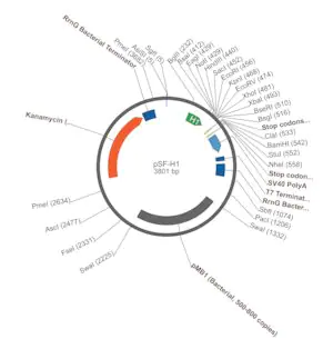 Merck PSF-H1 - SIRNA/RNAI EXPRESSION PLASMID