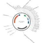 Merck PSF-OXB20 - STRONG BACTERIAL PROMOTER PLASMID