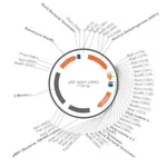 Merck PSF-ADH1-URA3 - MEDIUM STRENGTH YEAST PROMOTER PLASMID