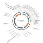Merck PSF-TEFI-TPI1-NEO/G418 - G418 YEAST SELECTION PLASMID