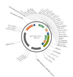 Merck PSF-TEFI-TPI1-ZEO - ZEOCIN YEAST SELECTION VECTOR
